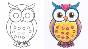 Owl Drawings